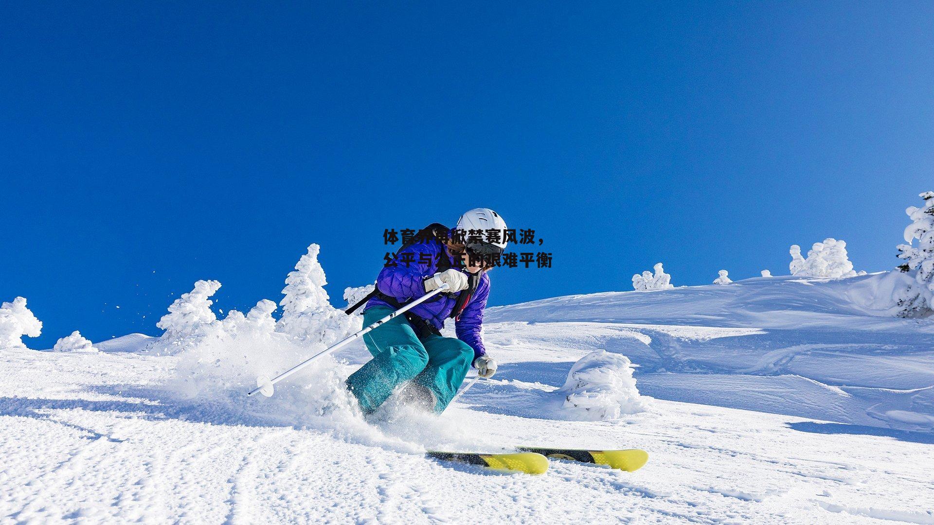 体育界再掀禁赛风波,公平与公正的艰难平衡